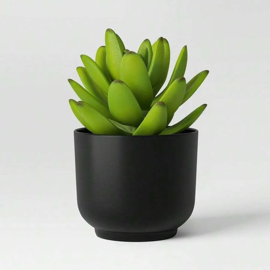 Artificial Succulent Plant in Black Ceramic Pot – Realistic Indoor Decor for Home, Office, Desk, and Shelf