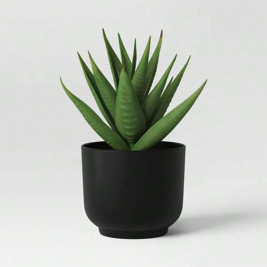 Artificial Succulent Plant in Black Ceramic Pot – Realistic Indoor Decor for Home, Office, Desk, and Shelf
