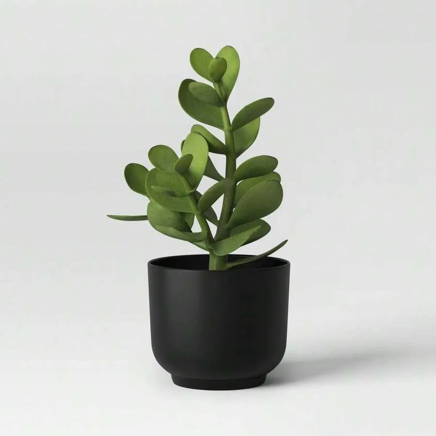 Artificial Succulent Plant in Black Ceramic Pot – Realistic Indoor Decor for Home, Office, Desk, and Shelf