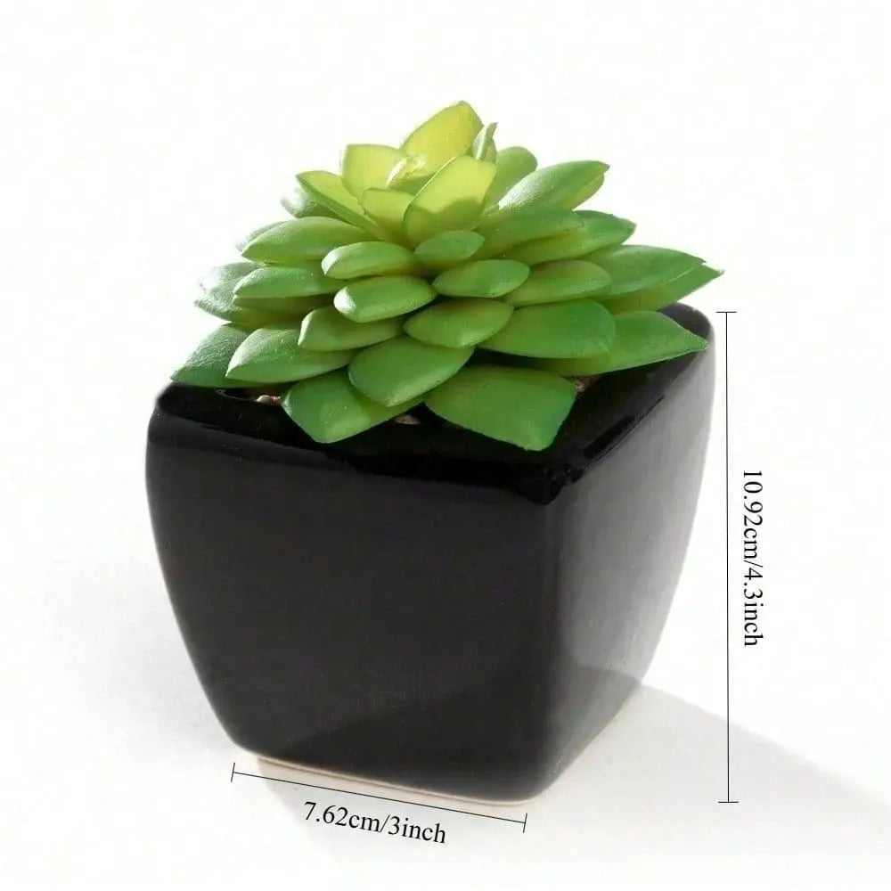 4-Piece Mini Succulent Plant Set in Black Ceramic Cube Pots, Compact Indoor Decor for Office, Home, Desk, or Shelf
