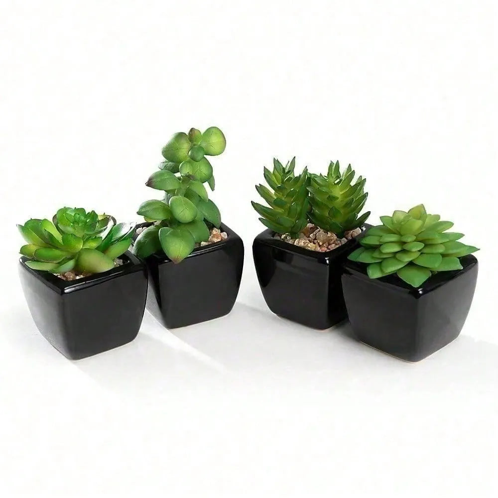 4-Piece Mini Succulent Plant Set in Black Ceramic Cube Pots, Compact Indoor Decor for Office, Home, Desk, or Shelf
