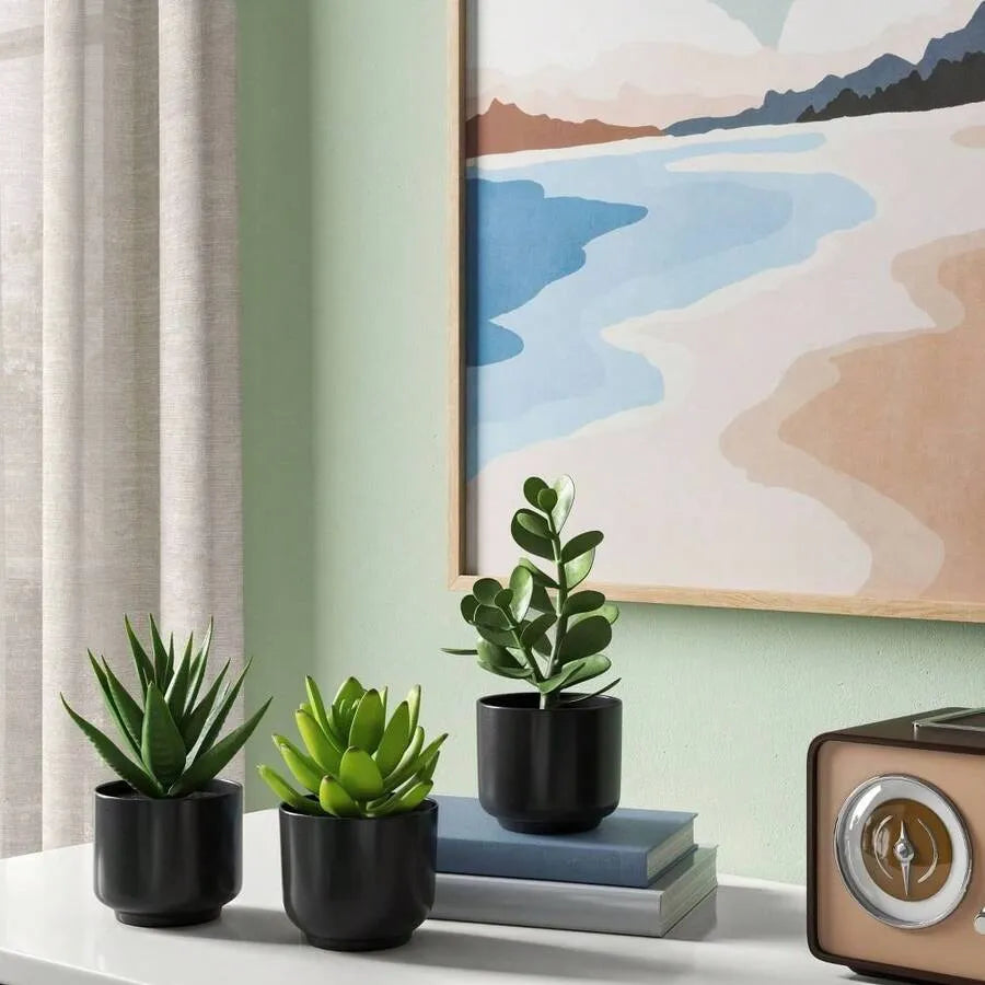Artificial Succulent Plant in Black Ceramic Pot – Realistic Indoor Decor for Home, Office, Desk, and Shelf