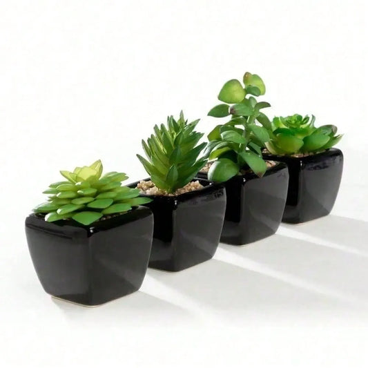 4-Piece Mini Succulent Plant Set in Black Ceramic Cube Pots, Compact Indoor Decor for Office, Home, Desk, or Shelf