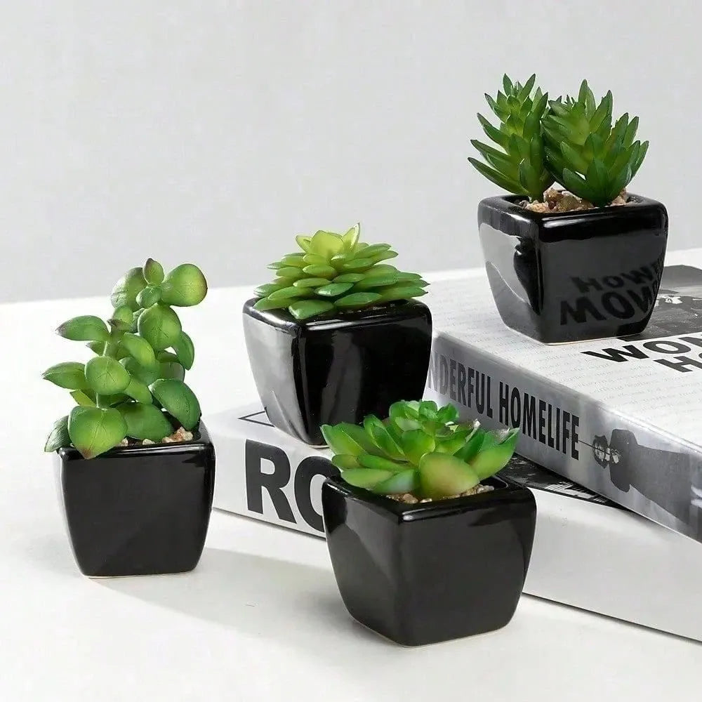 4-Piece Mini Succulent Plant Set in Black Ceramic Cube Pots, Compact Indoor Decor for Office, Home, Desk, or Shelf